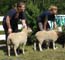 Showing at the Charlton Fair